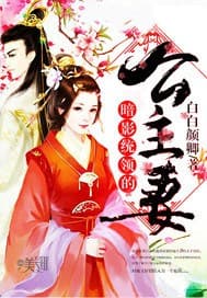 暗影统领的公主妻